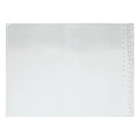 Reclosable Blank Packing List Envelopes