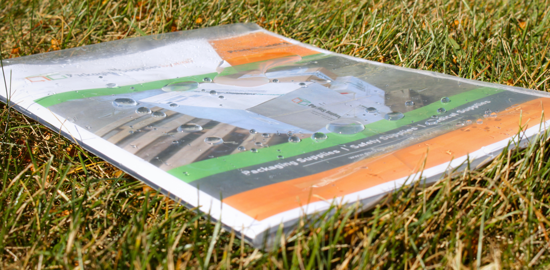 Clear View Poly Mailers